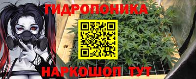 прущие грибы Нягань