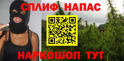 прущие грибы Нягань