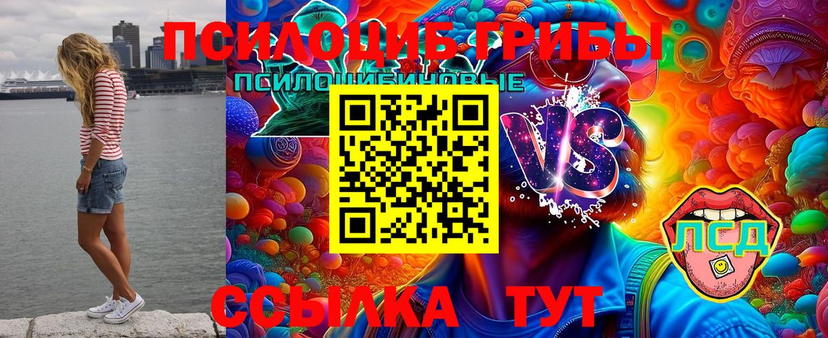 Советская Гавань  Галлюциногенные грибы Magic Shrooms  Вход с VPN 